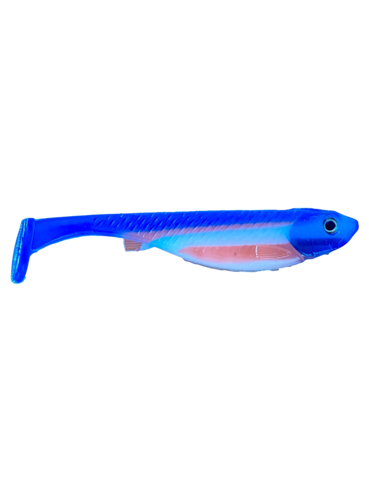 Candy Baits Freedom Box (Sampler)