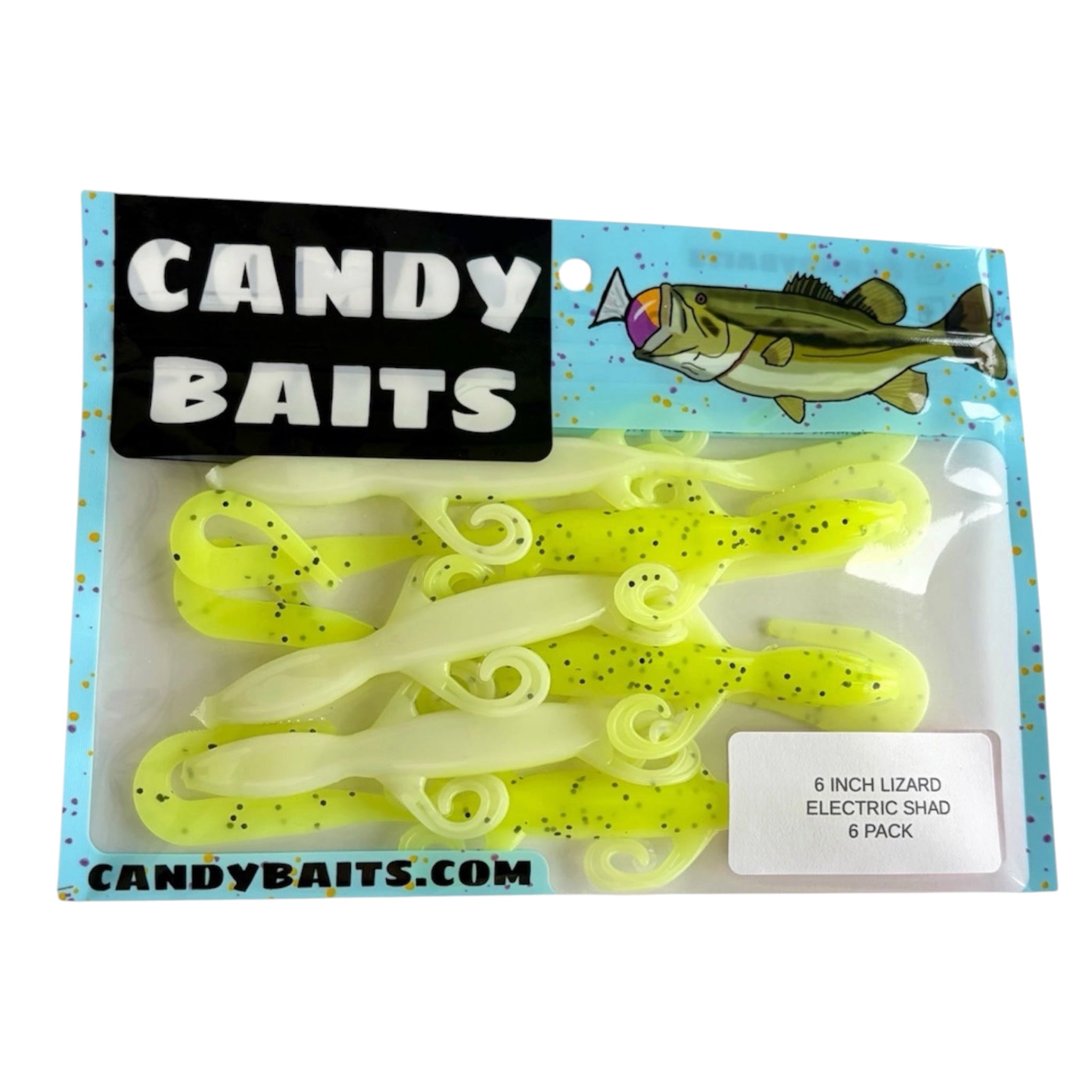 6 inch Lizards