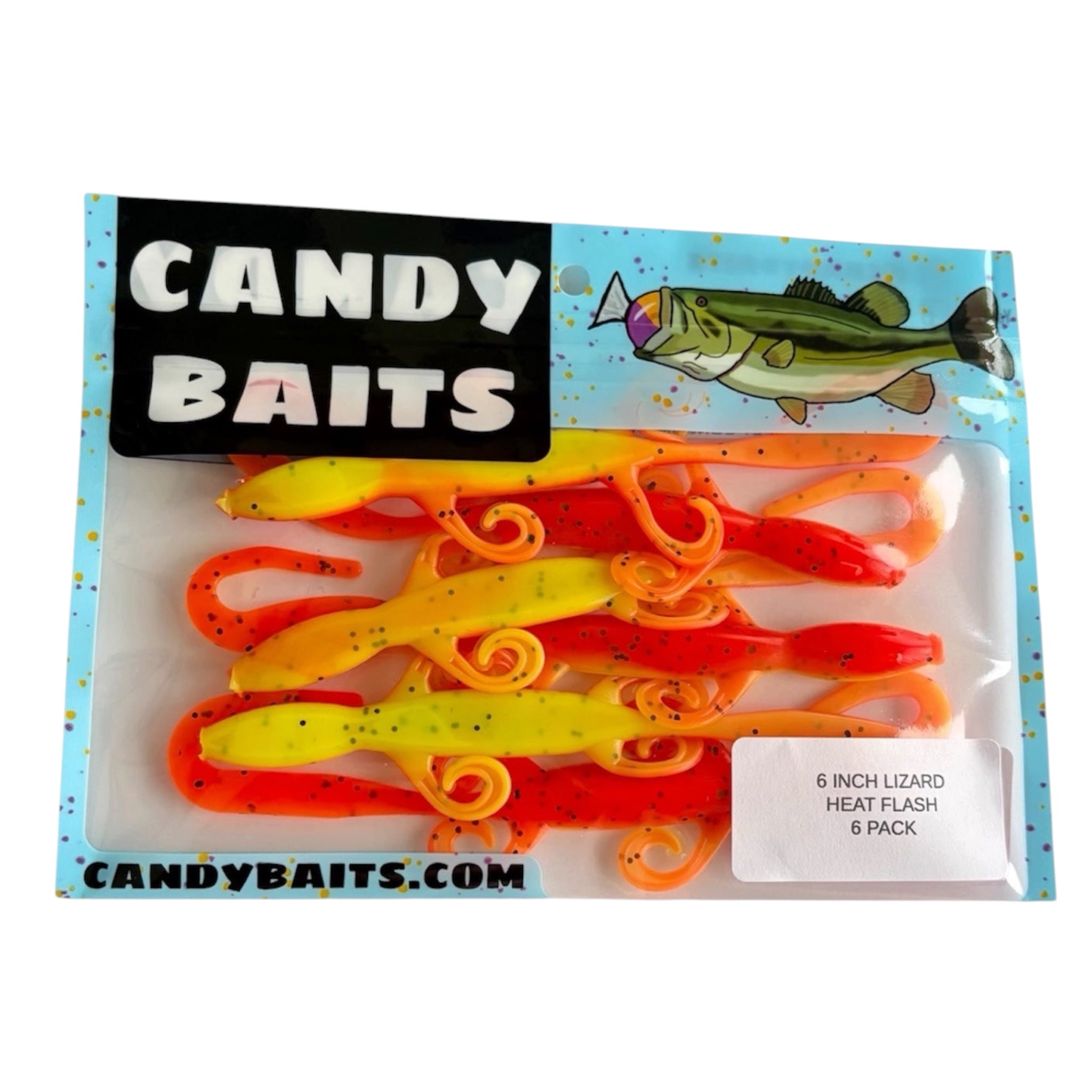 6 inch Lizards